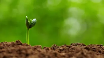 bonnes pratiques agricoles